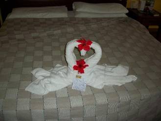 Barcelo Marina Palace: Towel Swans with my Birthday Note