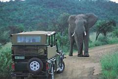 http://www.etosha.it/foto_alberghi1/3822.jpg