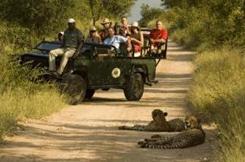 http://www.etosha.it/foto_alberghi3/3883.jpg