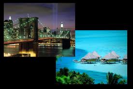 http://t1.gstatic.com/images?q=tbn:ANd9GcQ88cH3UP5b6nF4cR-BOgHMpL4BeWQhxtcLDnA4XsCkrNb3Ncqa